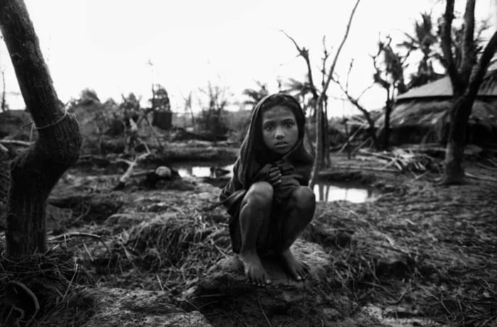 玩物社区 - 消失的部落获奖纪录片海报